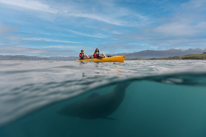 Private Seal Kayaking and Wildlife Tour in Kaikoura - An In-Depth Look at the Kaikoura Seal Kayaking Tour