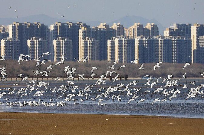 Private Seasonal Day Tour to Beidaihe from Beijing with Birding Experience - FAQs