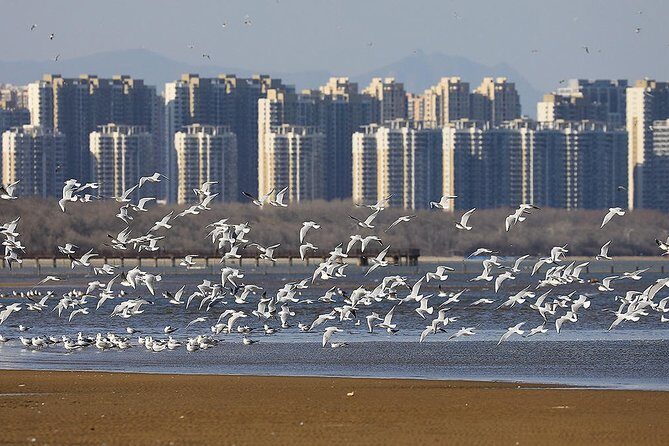 Private Seasonal Day Tour to Beidaihe from Beijing with Birding Experience - Practical Details: What’s Included and Logistical Considerations