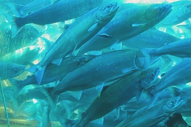 Private Seattle History and Landmarks Tour - The Experience Breakdown: An In-Depth Look at the Itinerary