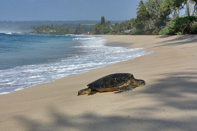 Private Secret Spots Tour on Oahu Hawaii - FAQ