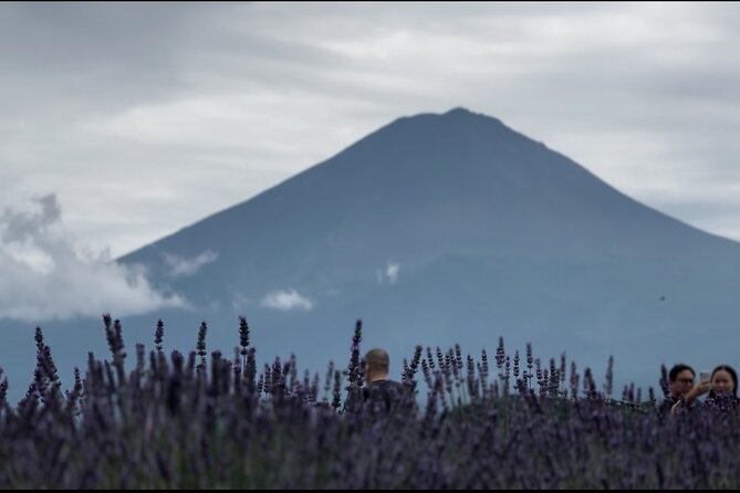 Private Sedan One-Day Mount Fuji Tour - Tour Highlights