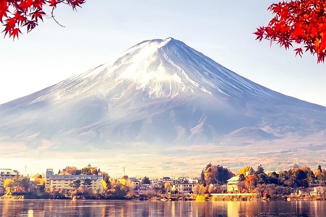 Private Sedan One-Day Mount Fuji Tour - Important Reminders and Tips