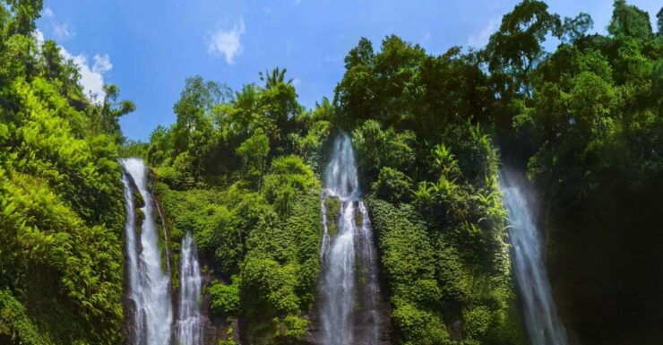 Private Sekumpul Waterfall Hiking Tour - Tour Experience