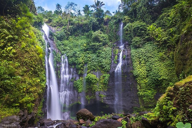 Private Sekumpul Waterfalls Trekking Tour - Experience the Beauty of Balis Interior