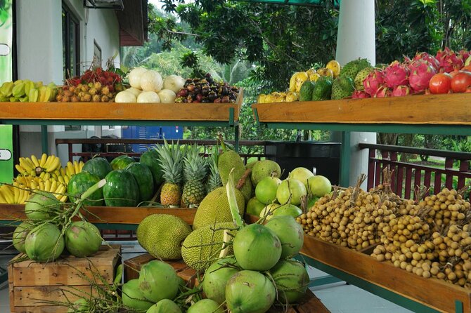 Private Selangor Day Tour : Batu Caves, Blue Mosque, Fruit Valley, Malawati Hill - Cancellation Policy