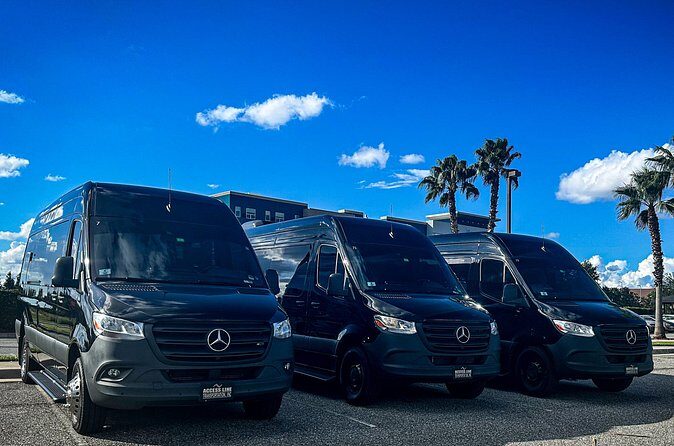 Private service, Airport, Hotels to Port Canaveral terminals. - Detailed Breakdown of the Travel Experience