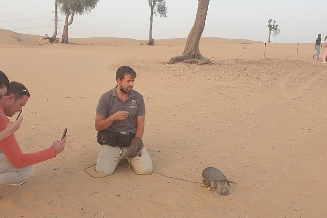 Private Setup, Falcon Photo , Dinner, Sunset in Middle of Desert - Embracing the Desert Sunset