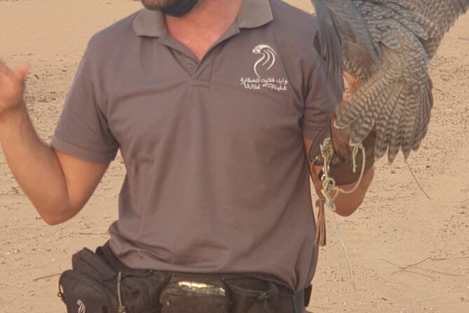 Private Setup, Falcon Photo , Dinner, Sunset in Middle of Desert - Contact Information and Reservations