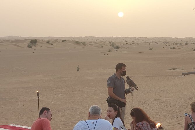 Private Setup, Falcon Photo , Dinner, Sunset in Middle of Desert - Common Questions