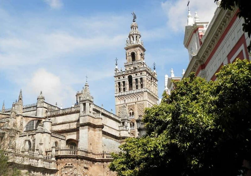 Private Seville: exclusive tour of Santa Cruz and the historic center - Why This Tour Offers Excellent Value