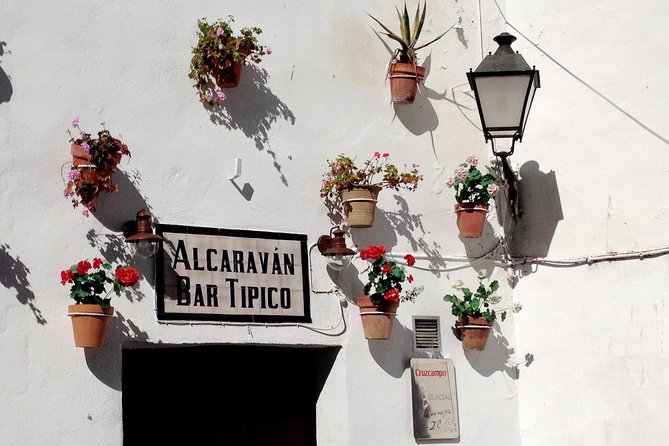Private Seville Transfer to Malaga Including Visit to Ronda - Service Details