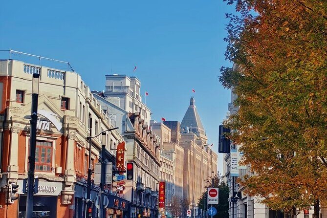 Private Shanghai Full Day Tour Yu Garden, Bund and Oriental Pearl - Transportation and Guide Experience