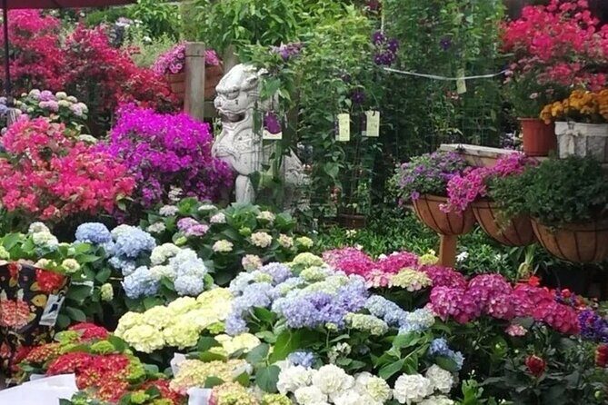 Private Shanghai Shopping Tour with Local Shopping Guru - Who Should Consider This Tour?