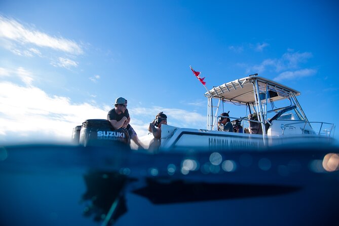 Private Shark Dive, Oahu, Hawaii (6 Guest) - Total Review Count and Rating