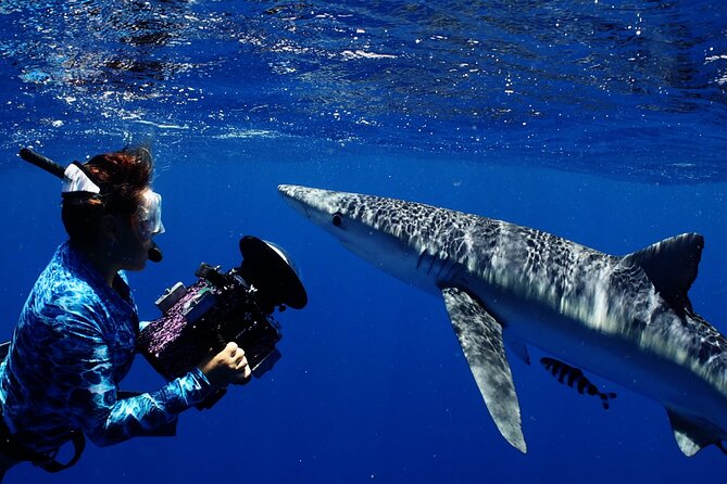 Private Shark Dive, Oahu, Hawaii (6 Guest) - Cancellation Policy Details