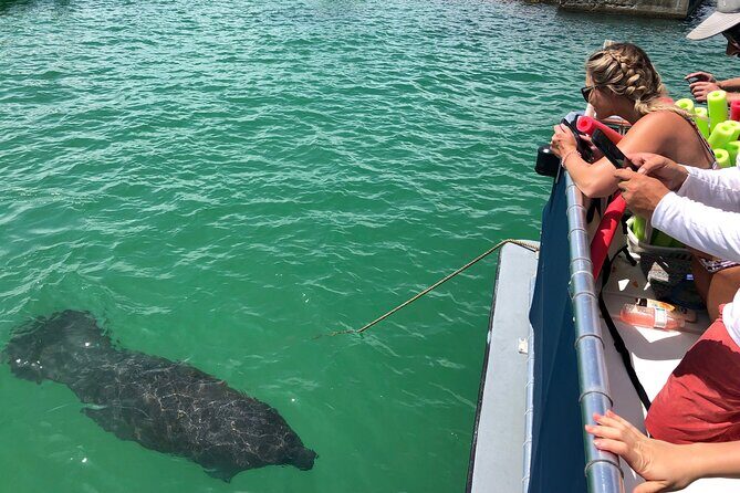 Private Shell Key Island Adventure Dolphins And Shells - The Itinerary: What to Expect