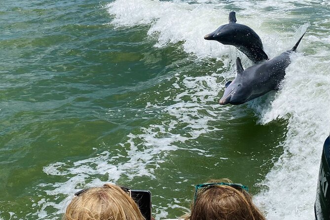Private Shelling and Dolphin Excursion - Pricing and Booking