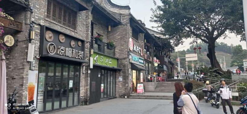 Private Shenzhen Day Tour from Hong Kong - Introducing the Private Shenzhen Day Tour from Hong Kong