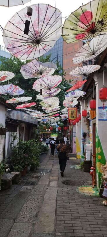 Private Shenzhen Day Tour from Hong Kong - FAQ