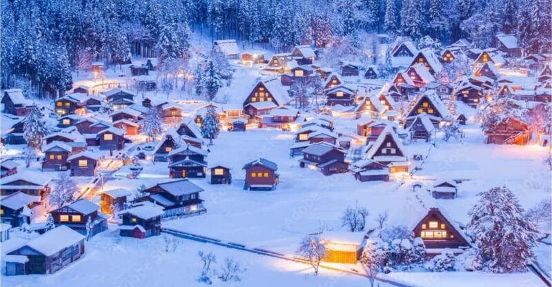 Private Shirakawa-go Full Day Tour w/Hotel Pickup & Drop-off - Who Is This Tour Best Suited For?