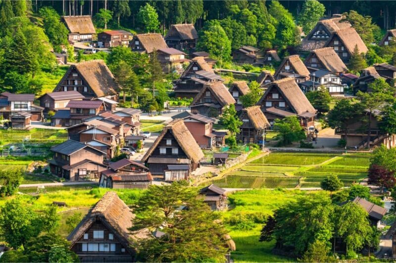 Private Shirakawago & Takayama Tour with Pickup and Drop-off - Who Will Love This Tour?