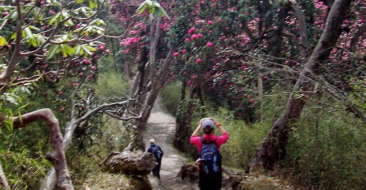 Private Shivapuri Day Hiking From Kathmandu - Activity Details and Booking Information