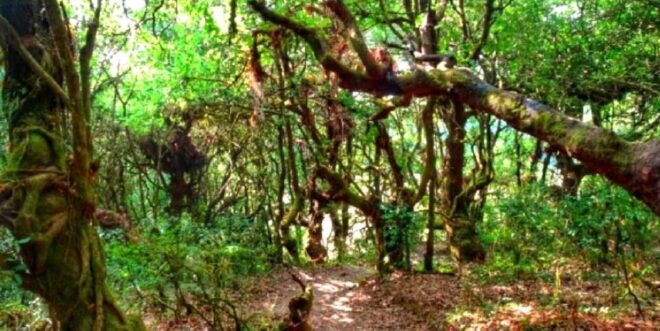 Private Shivapuri Day Hiking From Kathmandu - Pickup Instructions