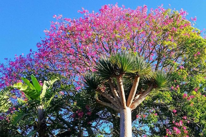 Private Shore Excursion: Bay of Islands Tour With Wine Tasting - Start Time and Cancellation Policy