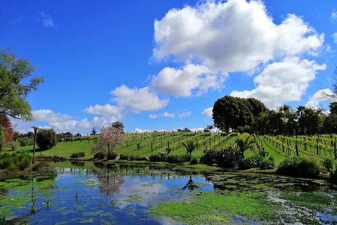 Private Shore Excursion: Bay of Islands Tour With Wine Tasting - Common Questions