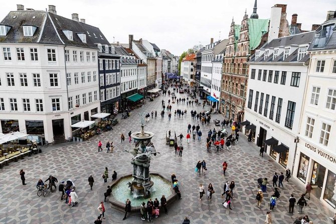 Private Shore Excursion: Copenhagen Walking Tour - Meeting and Pickup Details