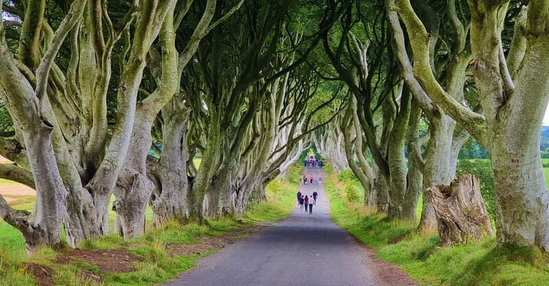 Private Shore Excursion From Belfast Cruise Terminal - An Overview of the Experience