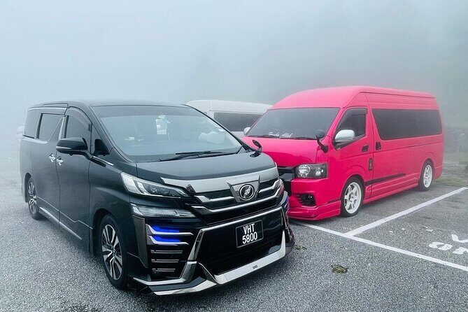 Private Shore Excursion from Port Klang to Kuala Lumpur - Who Is This Tour Best For?