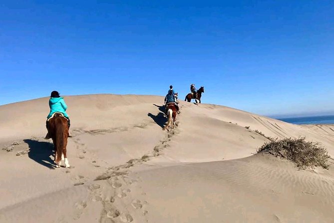 Private Shore Excursion From Valparaiso: Beach Horseback Ride & Viña Del Mar - Highlights