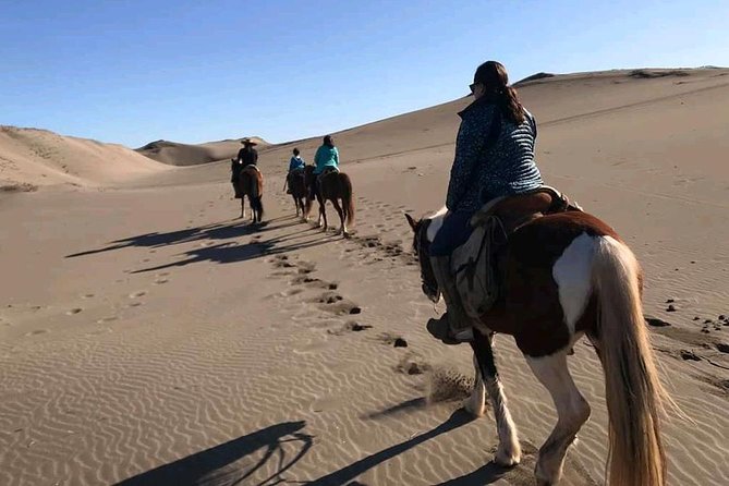 Private Shore Excursion From Valparaiso: Beach Horseback Ride & Viña Del Mar - Inclusions