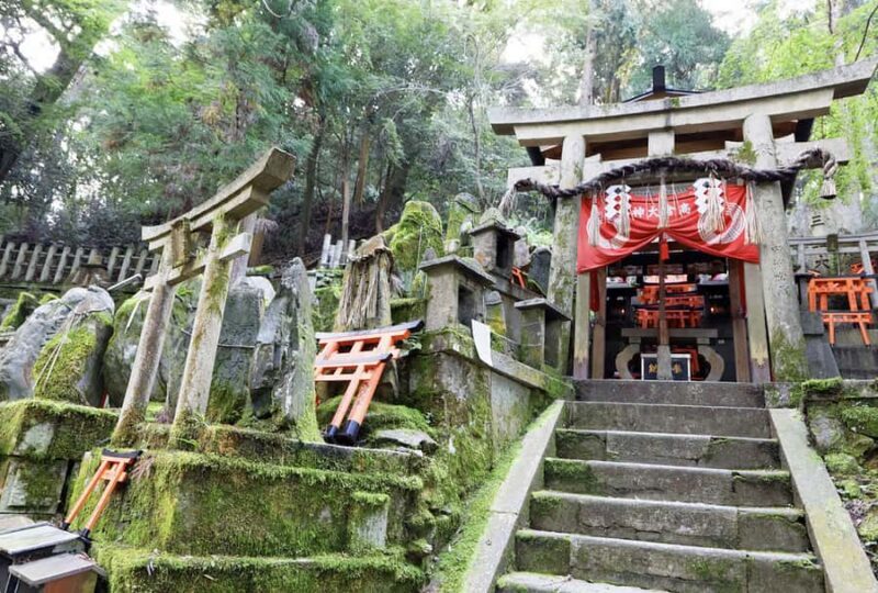 Private Shore Excursion Fukuoka Shrines Tour - Demon Slayer - Who Will Love This Tour?