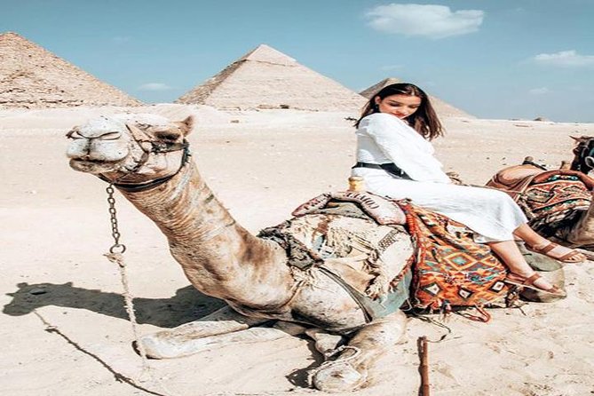 Private Shore Excursion: Giza Pyramids and Sakkara With Lunch in the Desert From Alexandria - Included Amenities