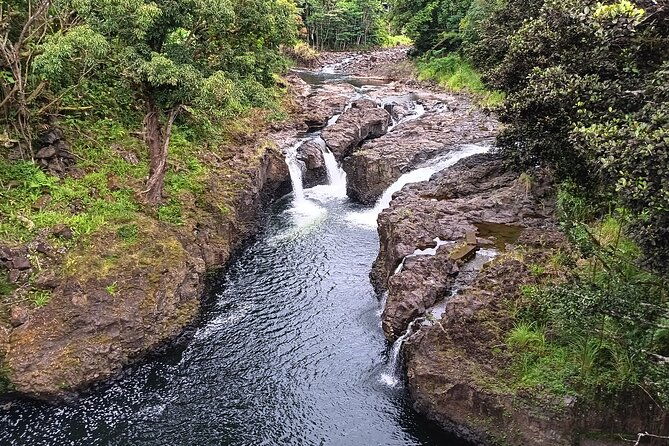 Private Shore Excursion Hilo Land of Frozen Fire up to 14 - Final Thoughts