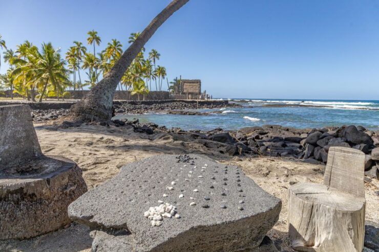 Private Shore Excursion Kona Coffee & National Historic Park - Activity Details