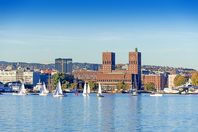 Private Shore Excursion: Oslo Panoramic Tour - Meeting and Pickup