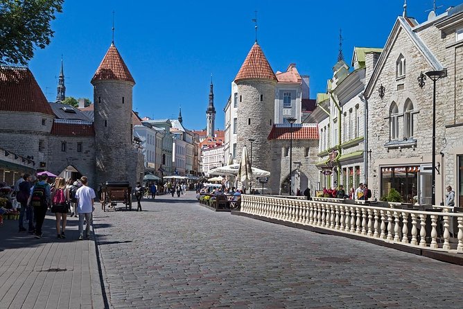 Private Shore Excursion: Panoramic Tour of Tallinn - Price and Availability