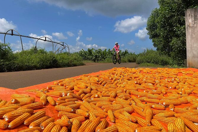 Private Shore Excursion: Phu My Port - Countryside Cycling - Pricing and Terms