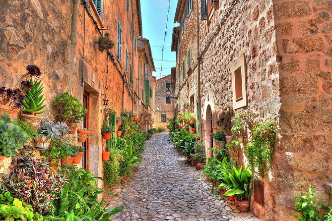 Private Shore Excursion to Valldemossa and Palma De Mallorca - Common Questions