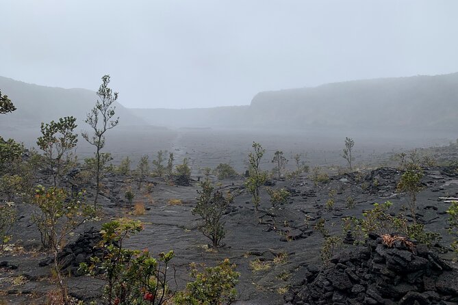 Private Shore Excursion - Volcanoes National Park - Excursion Overview