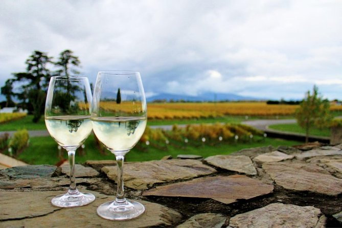 Private Shore Excursion:Explore Marlborough Wine and Scenic Delights From Picton - Private Shore Excursion Details