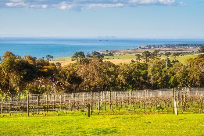 Private Shore Tour: Bellarine Peninsula Wine Experience - Exploring the Bellarine Peninsula Wine Experience