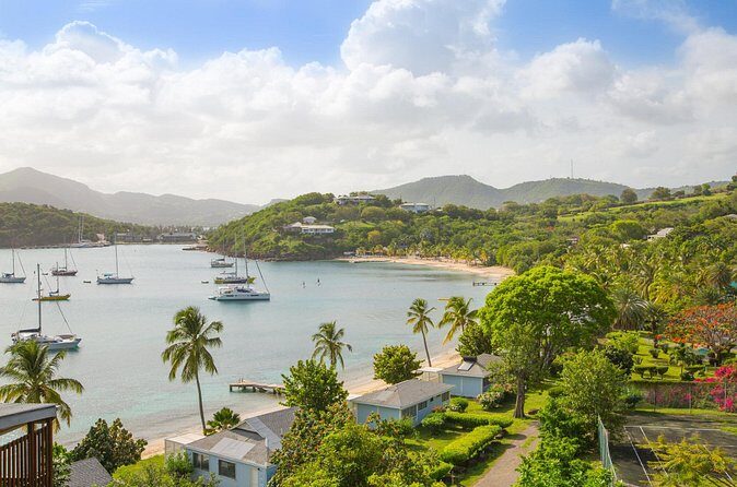 Private Shore Tour: Cactus Hill Hike & Antigua Coastal Views - Who Is This Tour Best For?