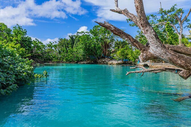Private Shore Tour: Explore, Discover & Indulge in Port Vila - Good To Know