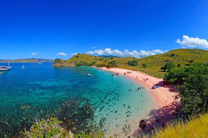 Private Shore Tour Komodo Dragons & Island Adventure - What the Reviews Reveal