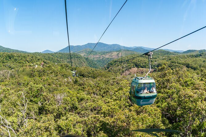 Private Shore Tour: Kuranda Rainforest &Skyrail from Port Douglas - Good To Know